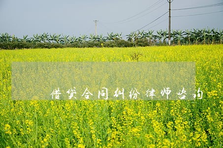 借贷合同纠纷律师咨询 借贷合同纠纷律师咨询
