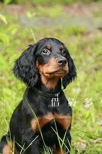 借贷多少钱可以上法院起诉 借贷多少钱可以上法院起诉