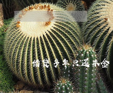 借贷多年只还本金 借贷多年只还本金