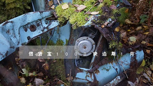 借贷宝1000块逾期1月 借贷宝1000块逾期1月