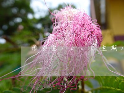 借贷宝1000逾期20天 借贷宝1000逾期20天