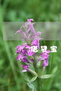 借贷宝10万逾期 借贷宝10万逾期