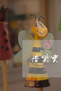 借贷宝1万逾期2个月 借贷宝1万逾期2个月