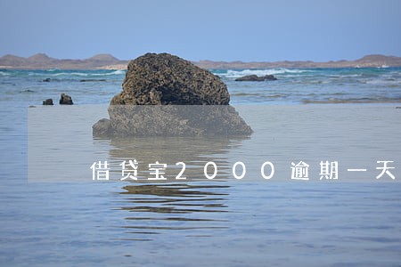 借贷宝2000逾期一天多少钱