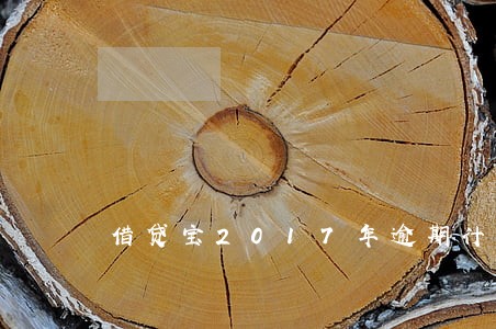 借贷宝2017年逾期计算