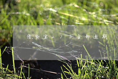 借贷宝27万全部逾期 借贷宝27万全部逾期