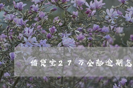 借贷宝27万全部逾期怎么办