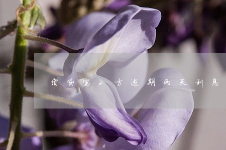 借贷宝2方逾期两天利息 借贷宝2方逾期两天利息