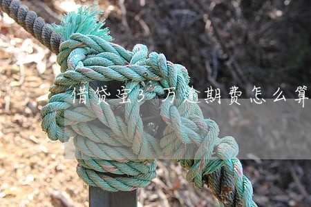 借贷宝3万逾期费怎么算的 借贷宝3万逾期费怎么算的
