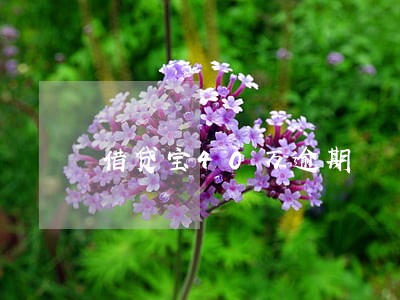 借贷宝40万逾期 借贷宝40万逾期