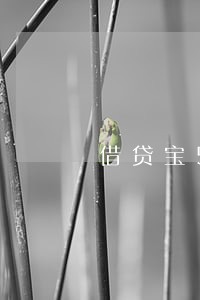 借贷宝5000条子逾期 借贷宝5000条子逾期