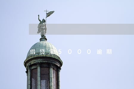 借贷宝5000逾期 借贷宝5000逾期