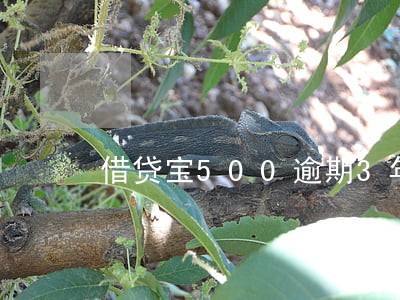 借贷宝500逾期3年 借贷宝500逾期3年