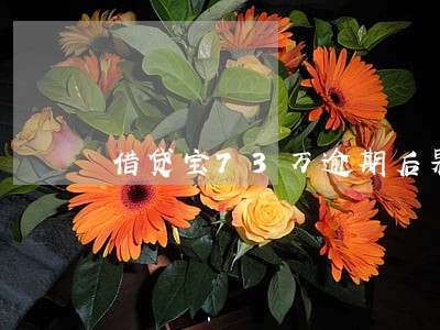 借贷宝73万逾期后果 借贷宝73万逾期后果