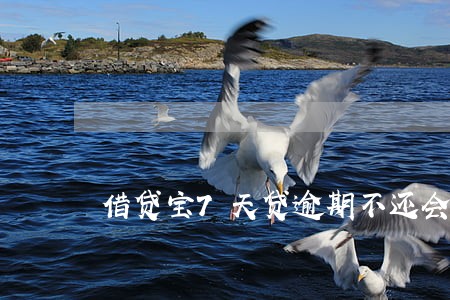 借贷宝7天贷逾期不还会怎么样