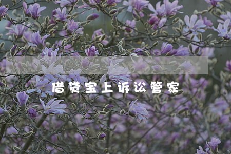 借贷宝上诉讼管家 借贷宝上诉讼管家