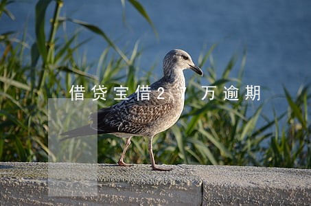 借贷宝借27万逾期 借贷宝借27万逾期