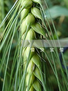 借贷宝借2万逾期还6万 借贷宝借2万逾期还6万