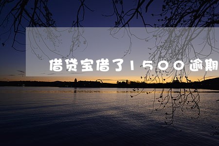 借贷宝借了1500逾期 借贷宝借了1500逾期