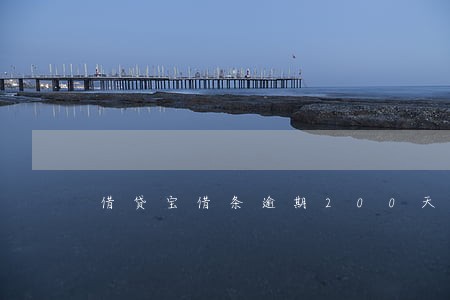 借贷宝借条逾期200天