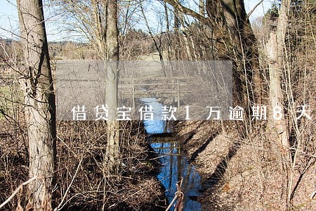 借贷宝借款1万逾期8天