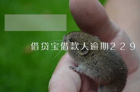 借贷宝借款人逾期2294万元 借贷宝借款人逾期2294万元