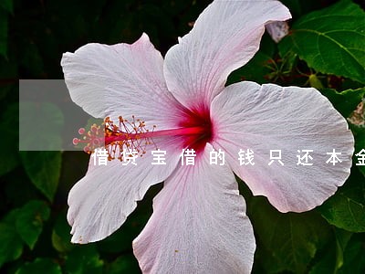 借贷宝借的钱只还本金可以吗 借贷宝借的钱只还本金可以吗