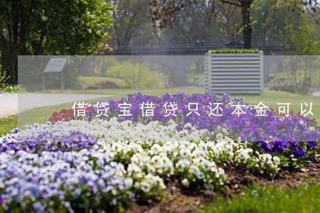 借贷宝借贷只还本金可以不