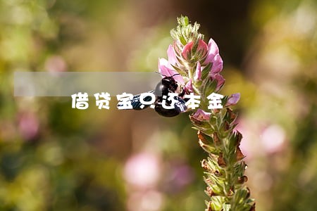 借贷宝只还本金 借贷宝只还本金