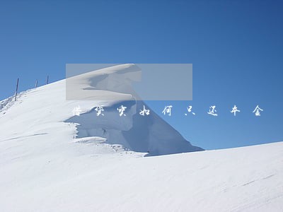借贷宝如何只还本金 借贷宝如何只还本金