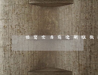 借贷宝当前逾期谁放款6 借贷宝当前逾期谁放款6