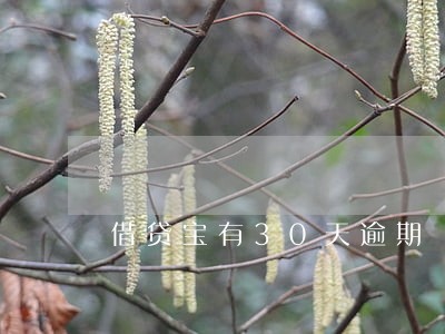 借贷宝有30天逾期 借贷宝有30天逾期