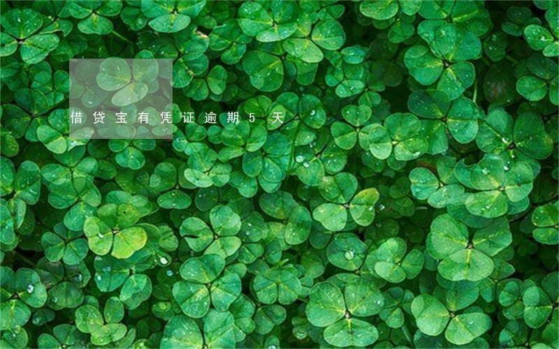 借贷宝有凭证逾期5天 借贷宝有凭证逾期5天