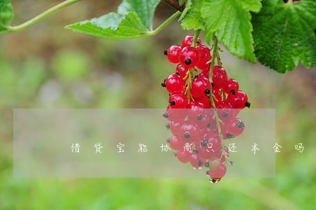 借贷宝能协商只还本金吗 借贷宝能协商只还本金吗