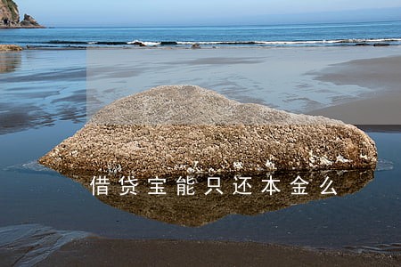 借贷宝能只还本金么 借贷宝能只还本金么