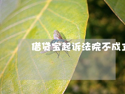 借贷宝起诉法院不成立 借贷宝起诉法院不成立