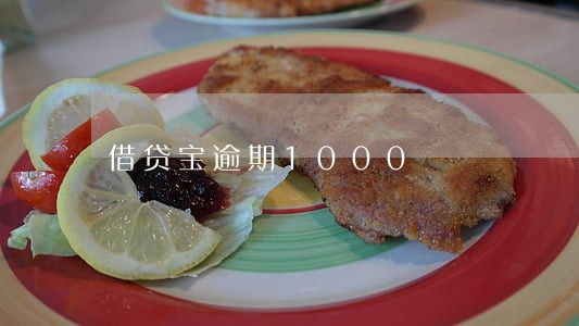 借贷宝逾期1000 借贷宝逾期1000