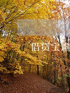 借贷宝逾期100万怎么办 借贷宝逾期100万怎么办