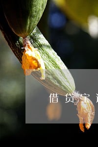 借贷宝逾期10几家 借贷宝逾期10几家