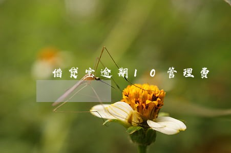 借贷宝逾期10管理费 借贷宝逾期10管理费
