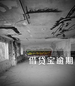 借贷宝逾期14天 借贷宝逾期14天