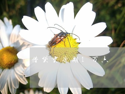 借贷宝逾期1万六 借贷宝逾期1万六