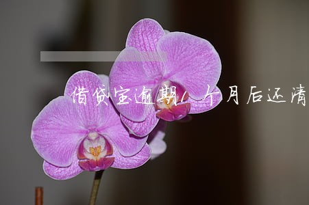 借贷宝逾期1个月后还清 借贷宝逾期1个月后还清