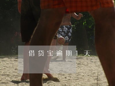 借贷宝逾期1天 借贷宝逾期1天