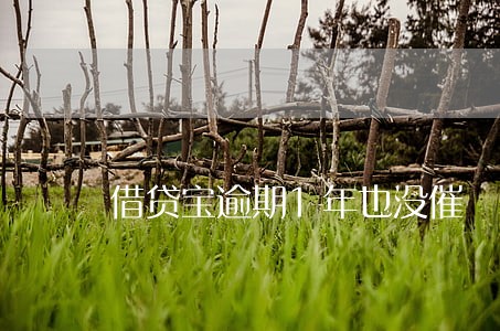借贷宝逾期1年也没催 借贷宝逾期1年也没催