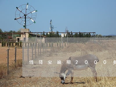 借贷宝逾期2000多天 借贷宝逾期2000多天