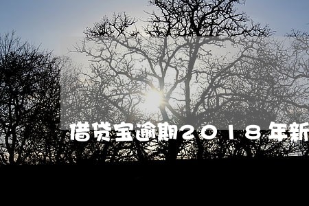 借贷宝逾期2018年新规 借贷宝逾期2018年新规