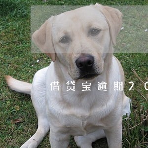 借贷宝逾期20天会怎样 借贷宝逾期20天会怎样