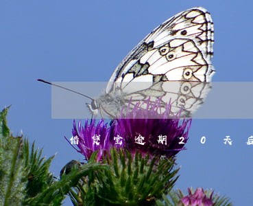 借贷宝逾期20天后果 借贷宝逾期20天后果