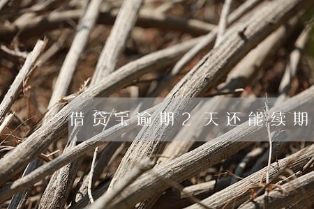 借贷宝逾期2天还能续期吗 借贷宝逾期2天还能续期吗